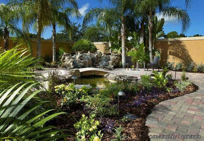 Courtyard Tampa Oldsmar Hotel Luaran gambar